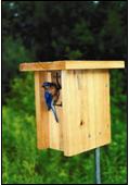 Gilwood bluebird house